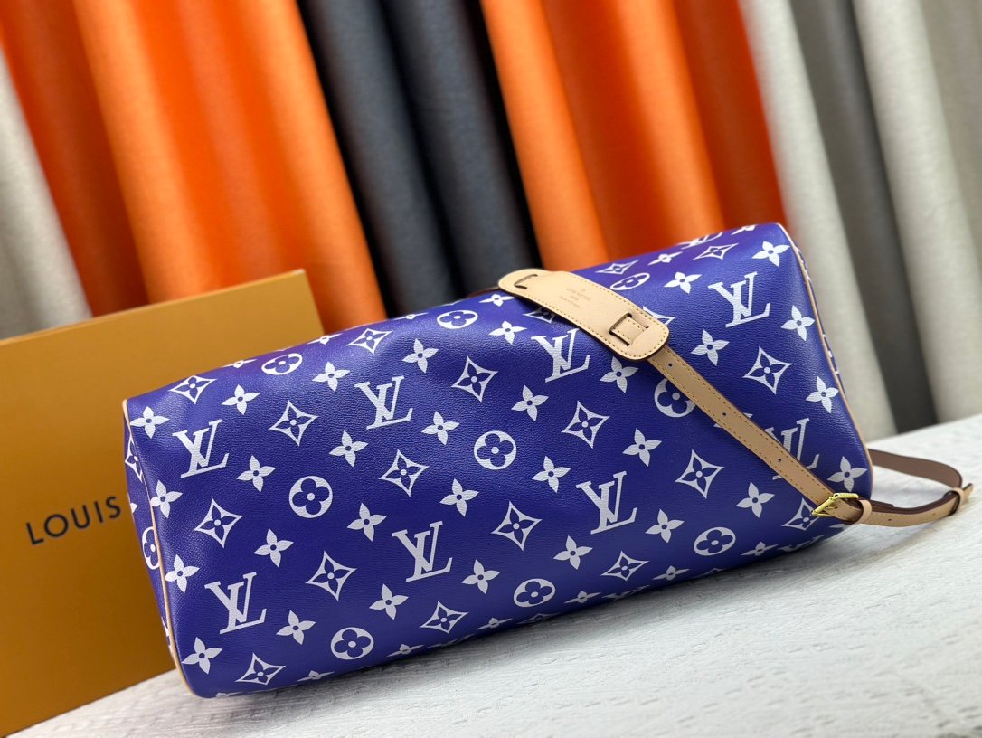 LOUIS VUITTON - 图片 5